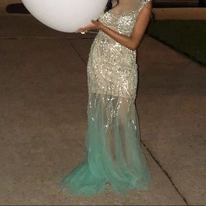 Terani Couture mermaid dress